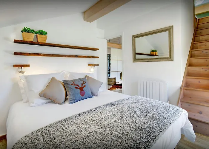 De Rollon - Ovo Network